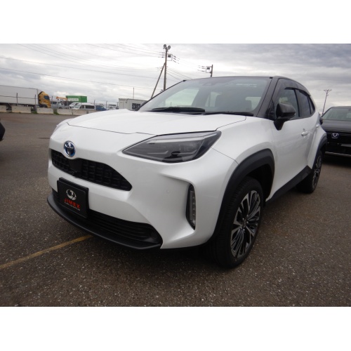 1_167208_17145417216631d499dd162