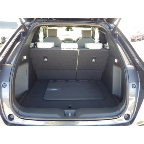 20_165994_17125417426613502ec1f0a