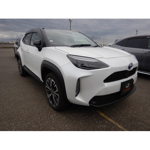 3_167208_17145417296631d4a19af4e