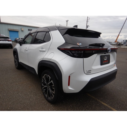 6_167208_17145417376631d4a9c7de6