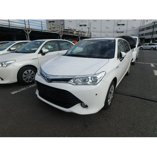 fielder_2_1708654555