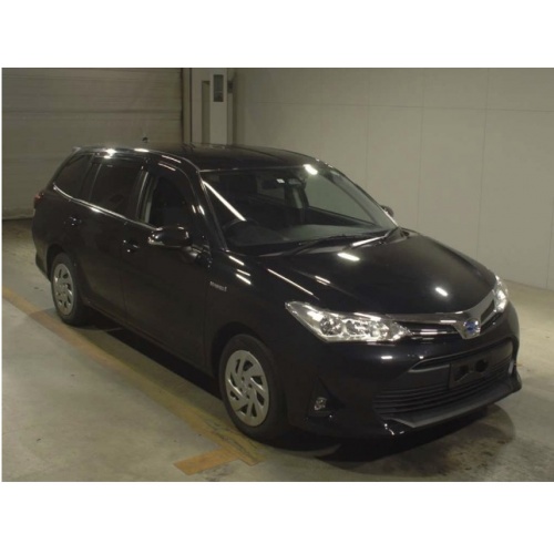 fielder_hy_2_1195848003