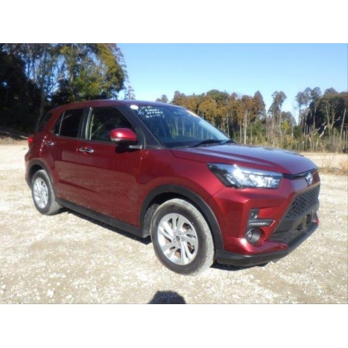 raize_hybrid_1_393100056