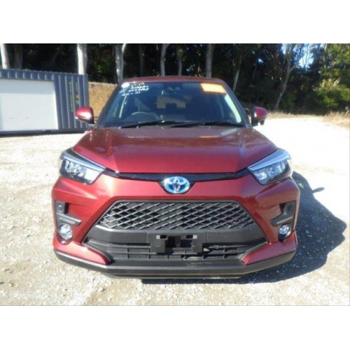 raize_hybrid_3_844648078