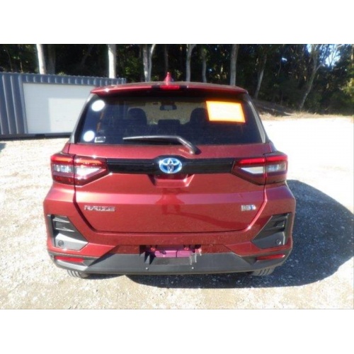 raize_hybrid_4_2018311493