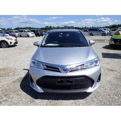 silver_fielder_4_1579804062