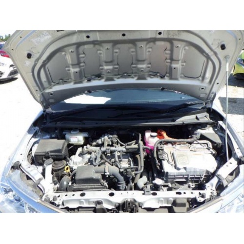 silver_fielder_6_1606827709