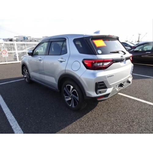 silver_raize_4_63599739