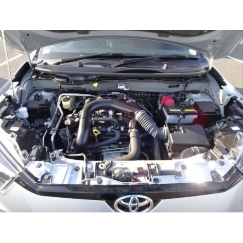 silver_raize_9_743383073